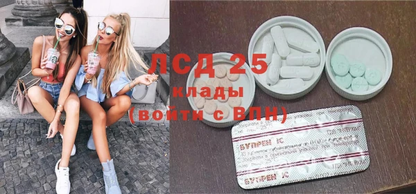 хмурый Верея
