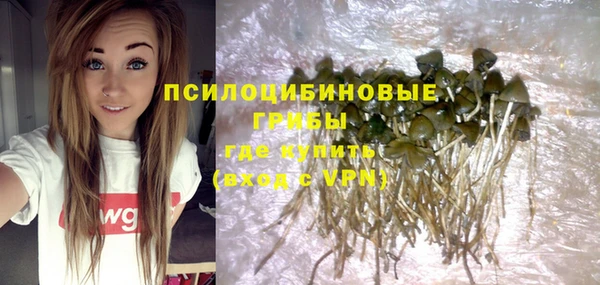 скорость Бородино