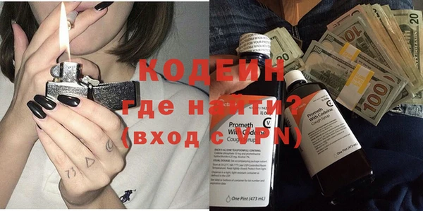 хмурый Верея