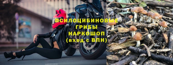 хмурый Верея
