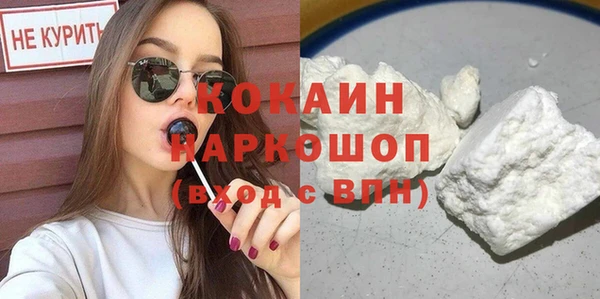 хмурый Верея