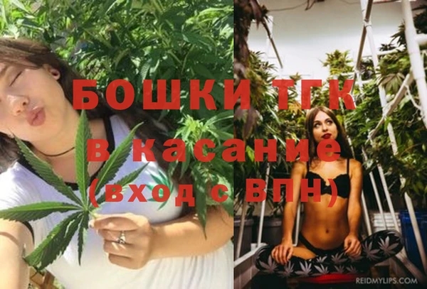 скорость Бородино