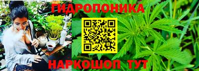 экстази Нальчик