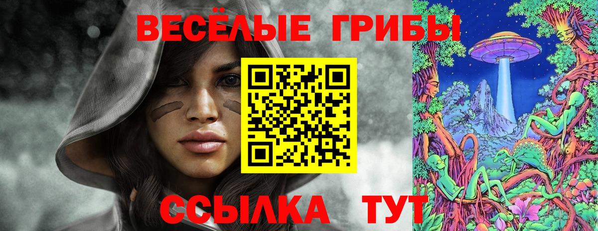 Галлюциногенные грибы Psilocybine cubensis  Вход с VPN  Псилоцибиновые грибы Psilocybe  Гатчина 
